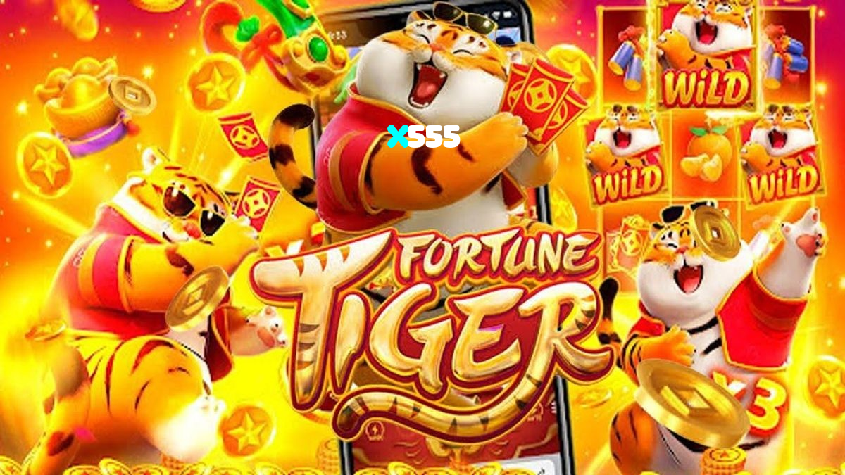 available types of X555 bet including pre-match live express and system bets